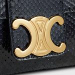 Medium Celine Victoire Bag IN Python - Image 4